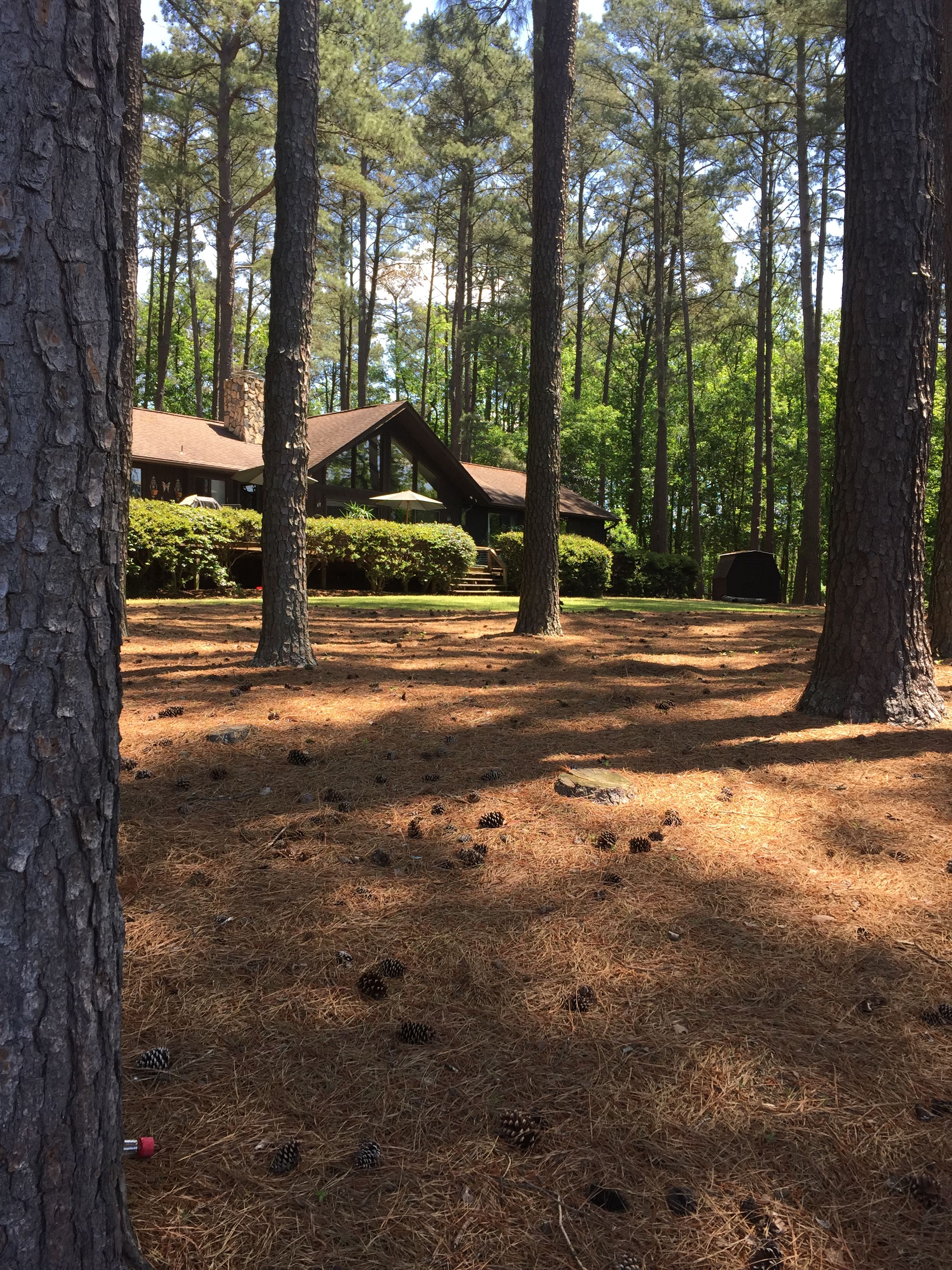 Camp Rosie