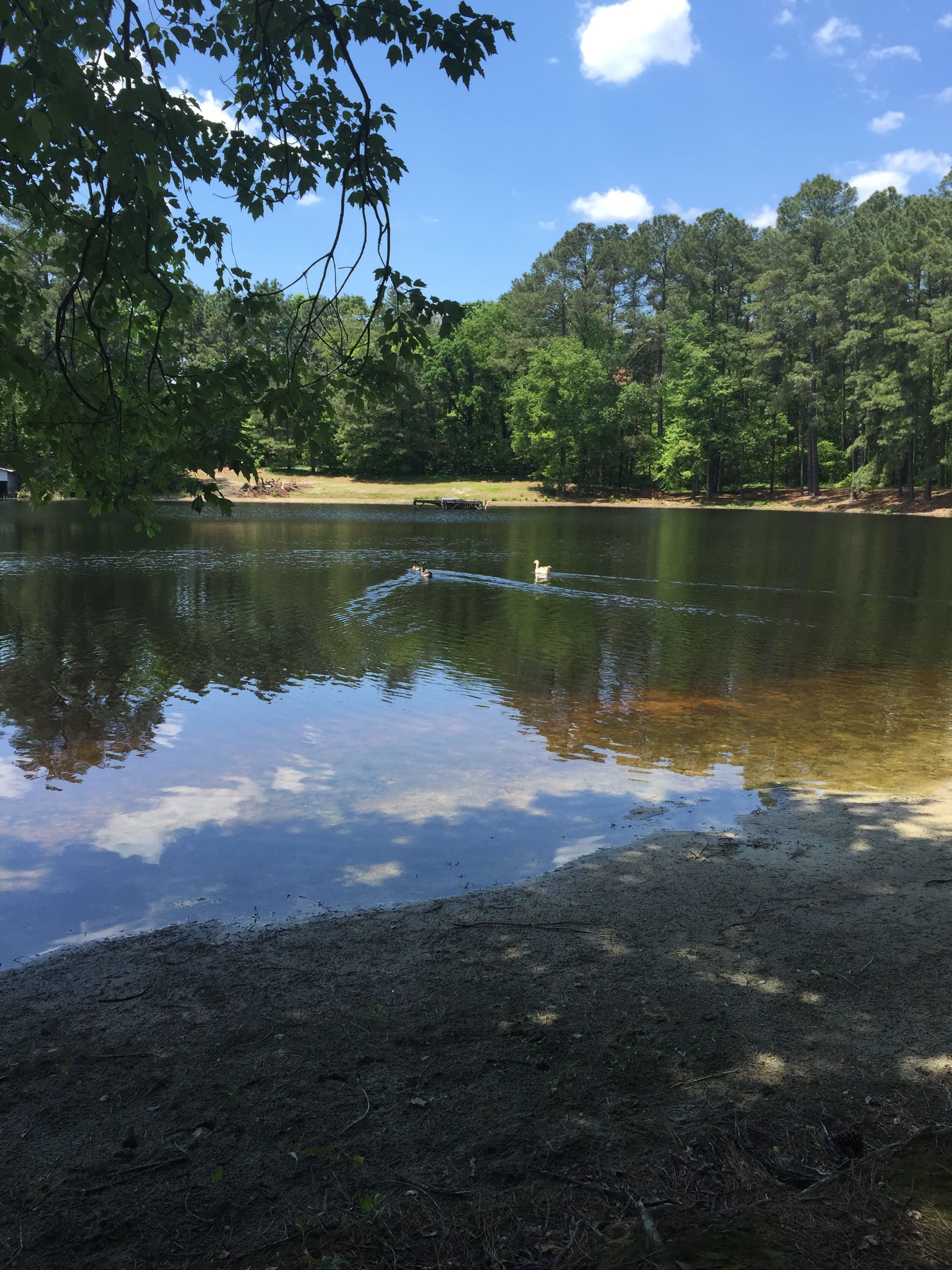 Lake at Camp Rosie