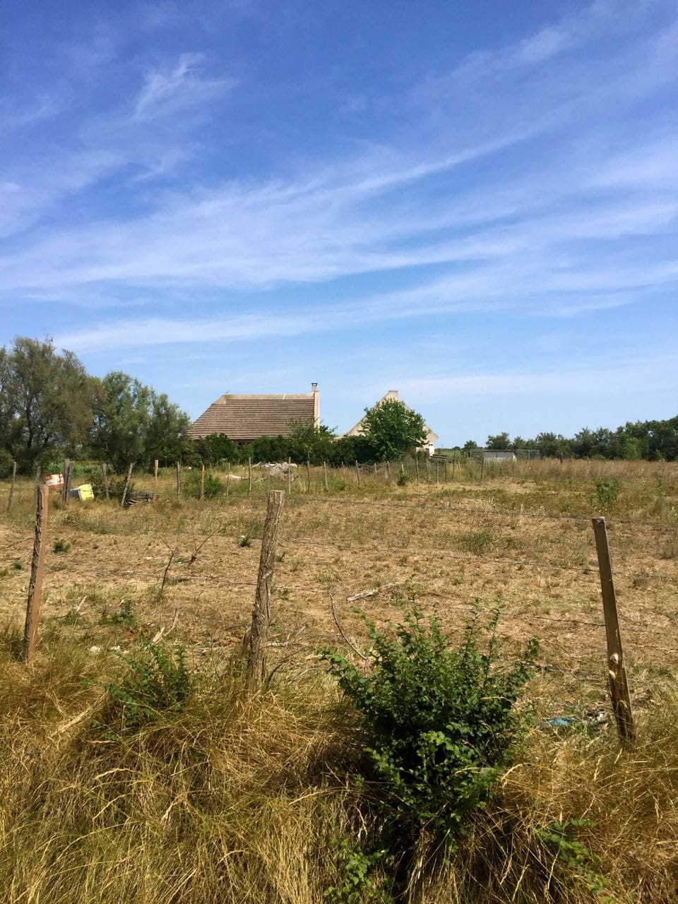 visiting the camargue