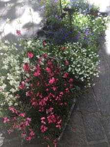 An Unforgettable Day in Uzès