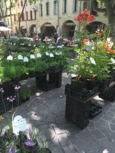 An Unforgettable Day in Uzès
