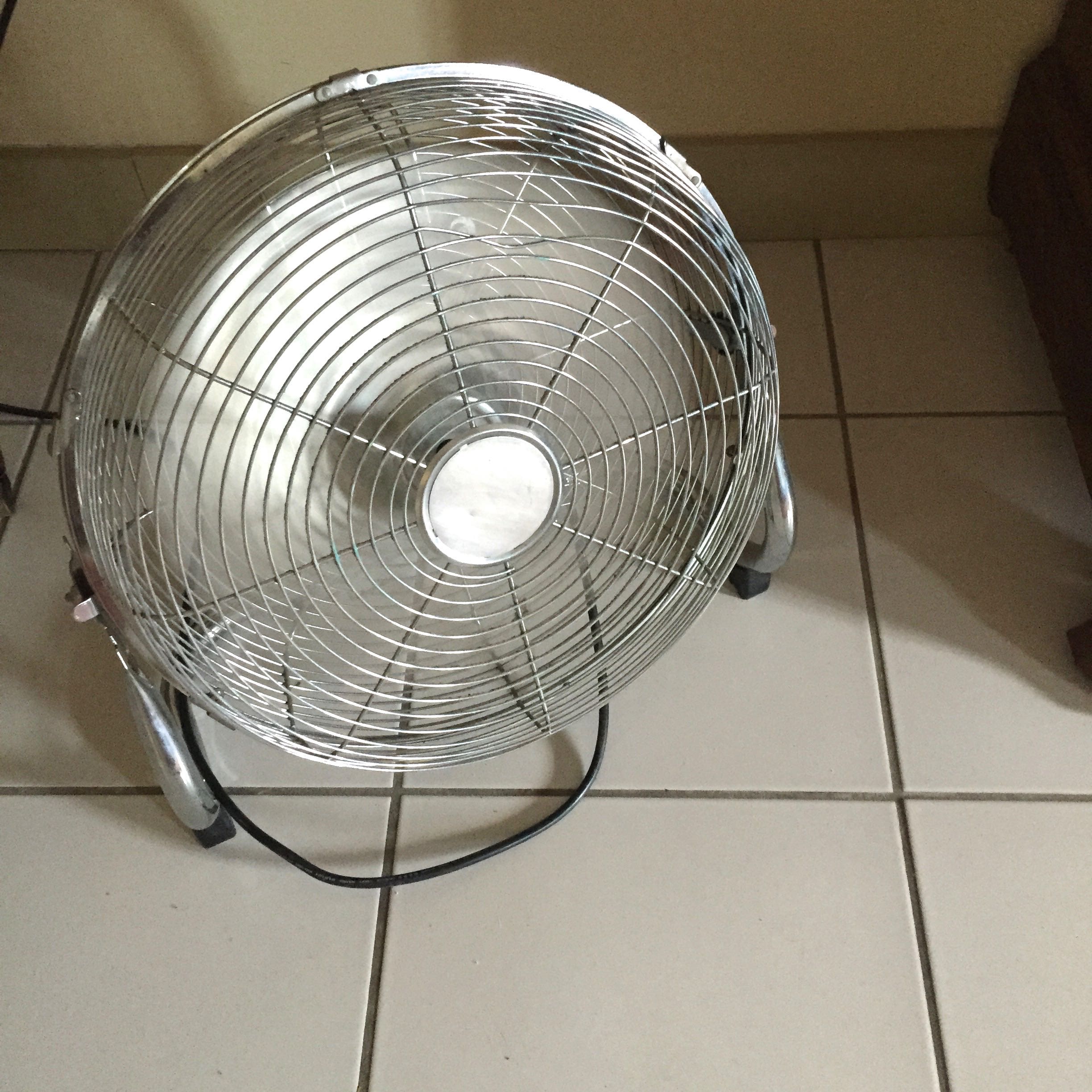 Fans