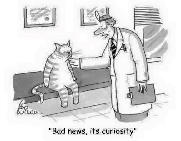 cartoon
