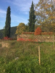 Autumn Weekend Around Uzes