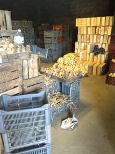 Autumn Weekend Around Uzes