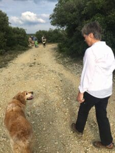 Autumn Weekend Around Uzes