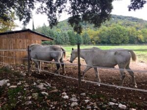 Autumn Weekend Around Uzes