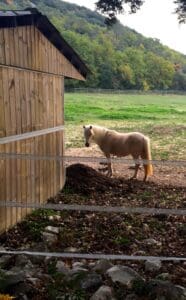 Autumn Weekend Around Uzes