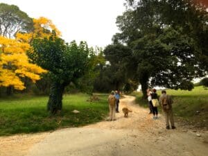 Autumn Weekend Around Uzes