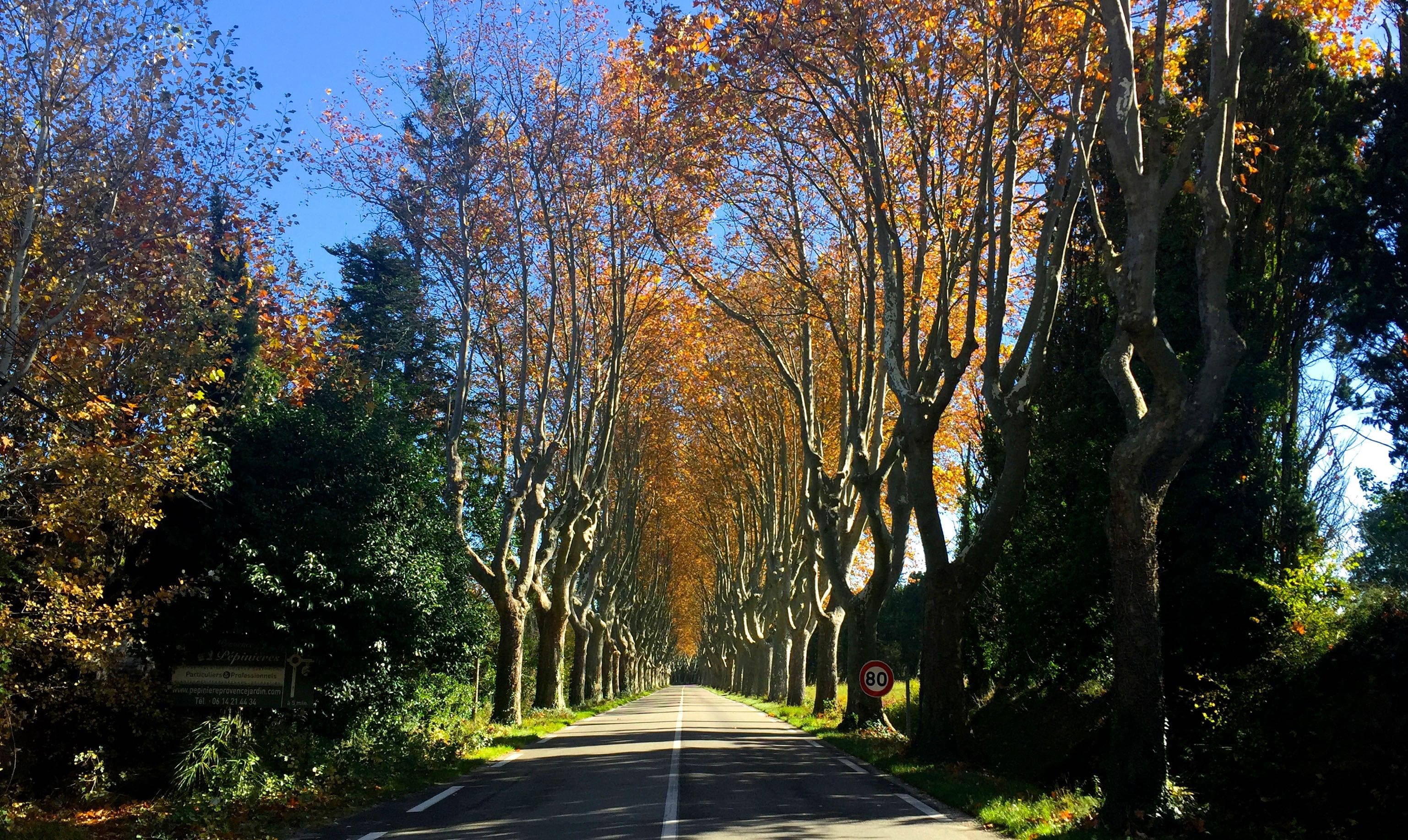 Fall in Provence