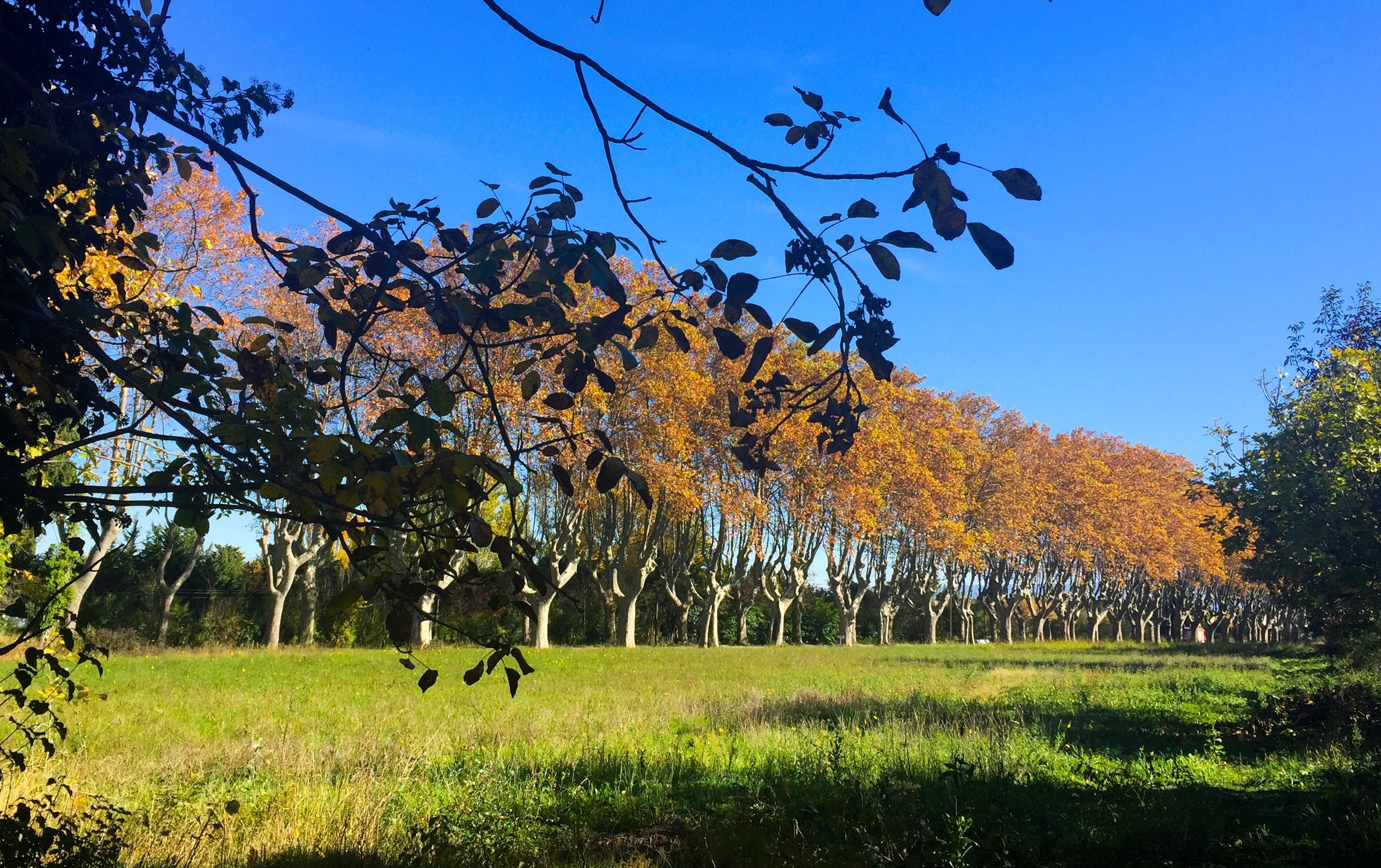 Fall in Provence