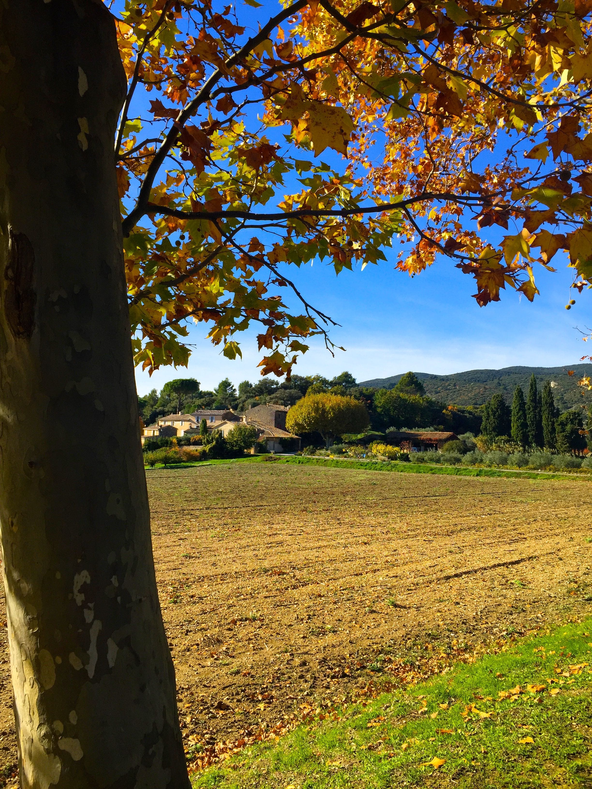 Fall in Provence