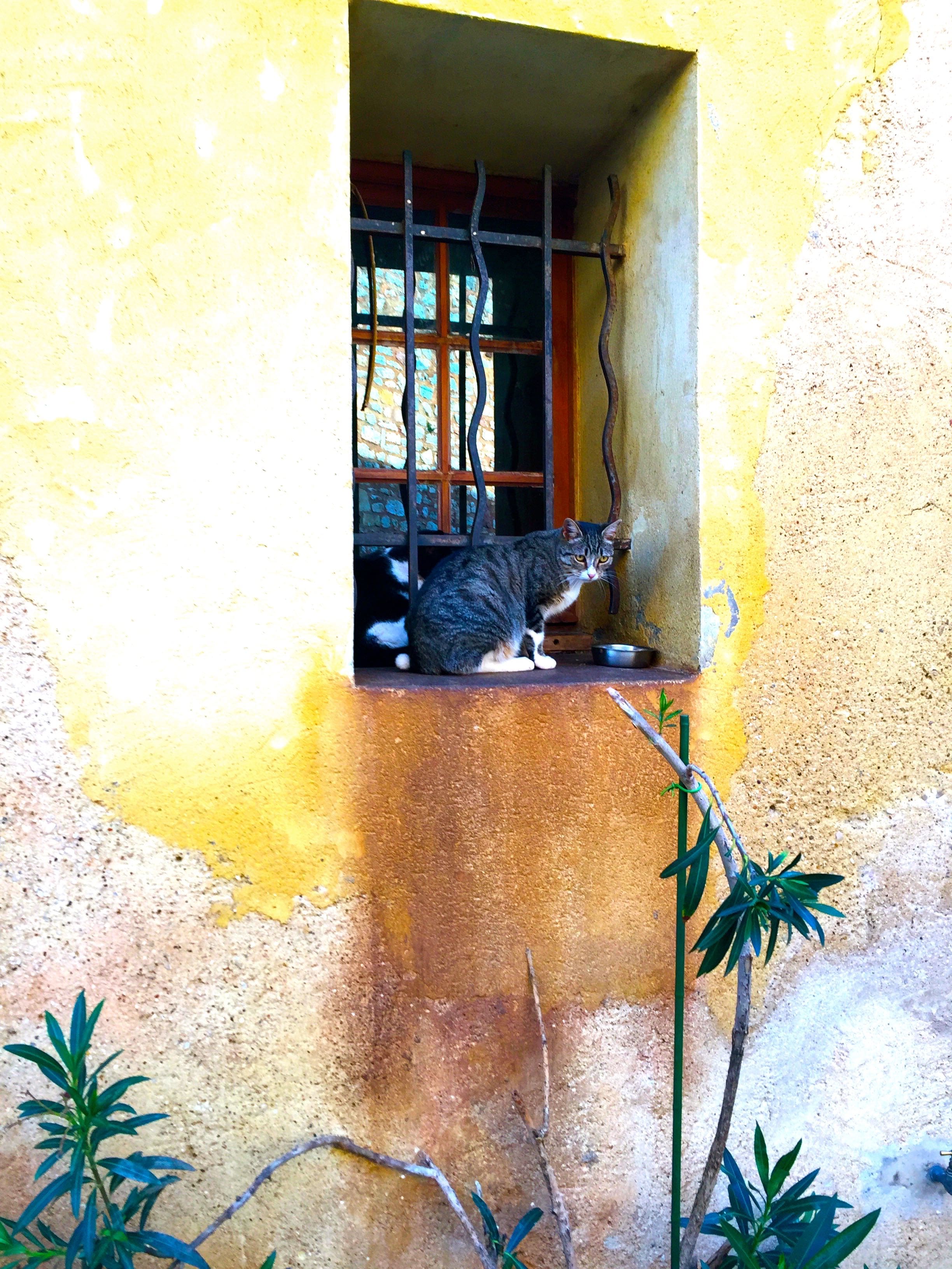 Fall in Provence