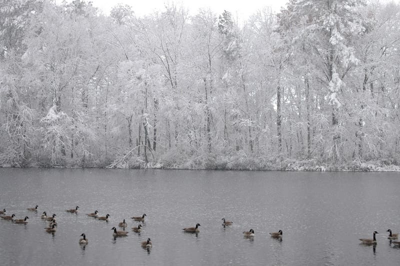 southern folk tales
