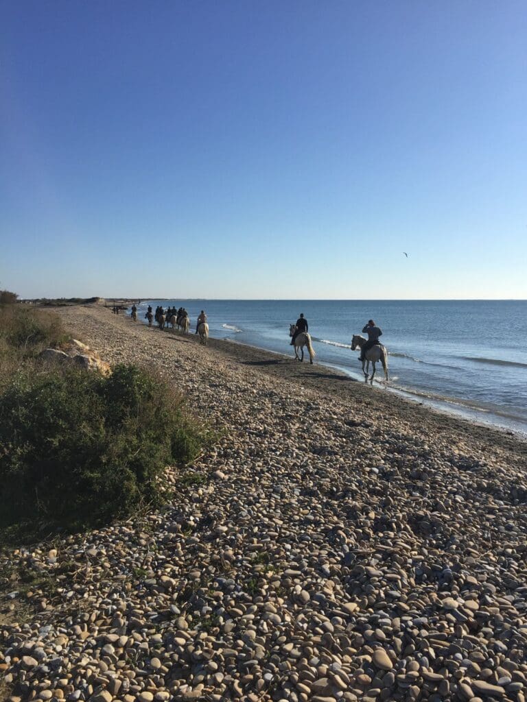 tour south france