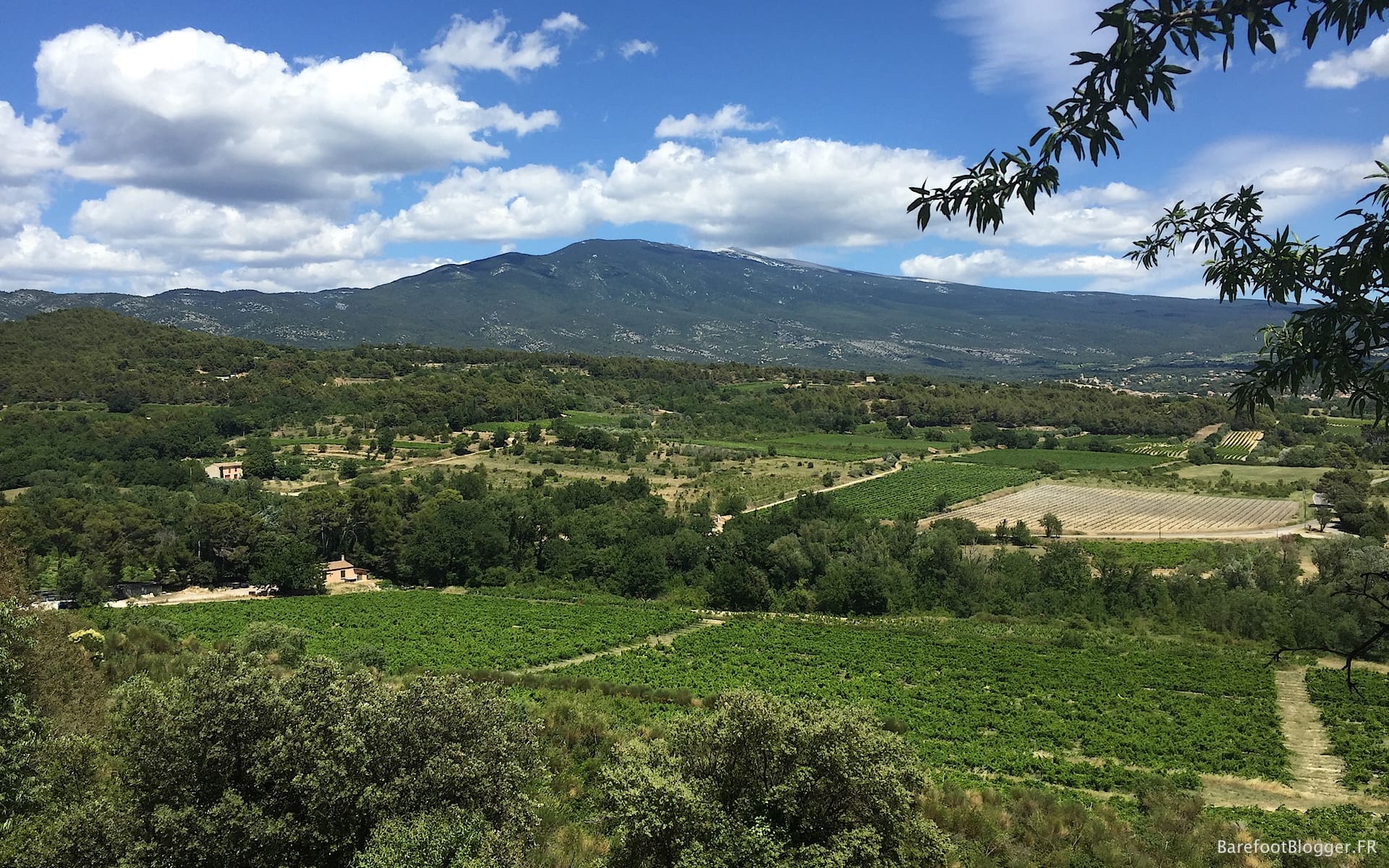 Mount Ventoux viewed from Caromb
