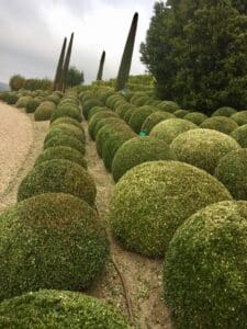 Chateaus and vineyards of the Loire Valley