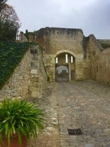 Chateaus and vineyards of the Loire Valley