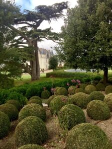 Chateaus and vineyards of the Loire Valley