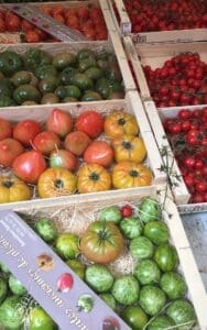 southern france holiday