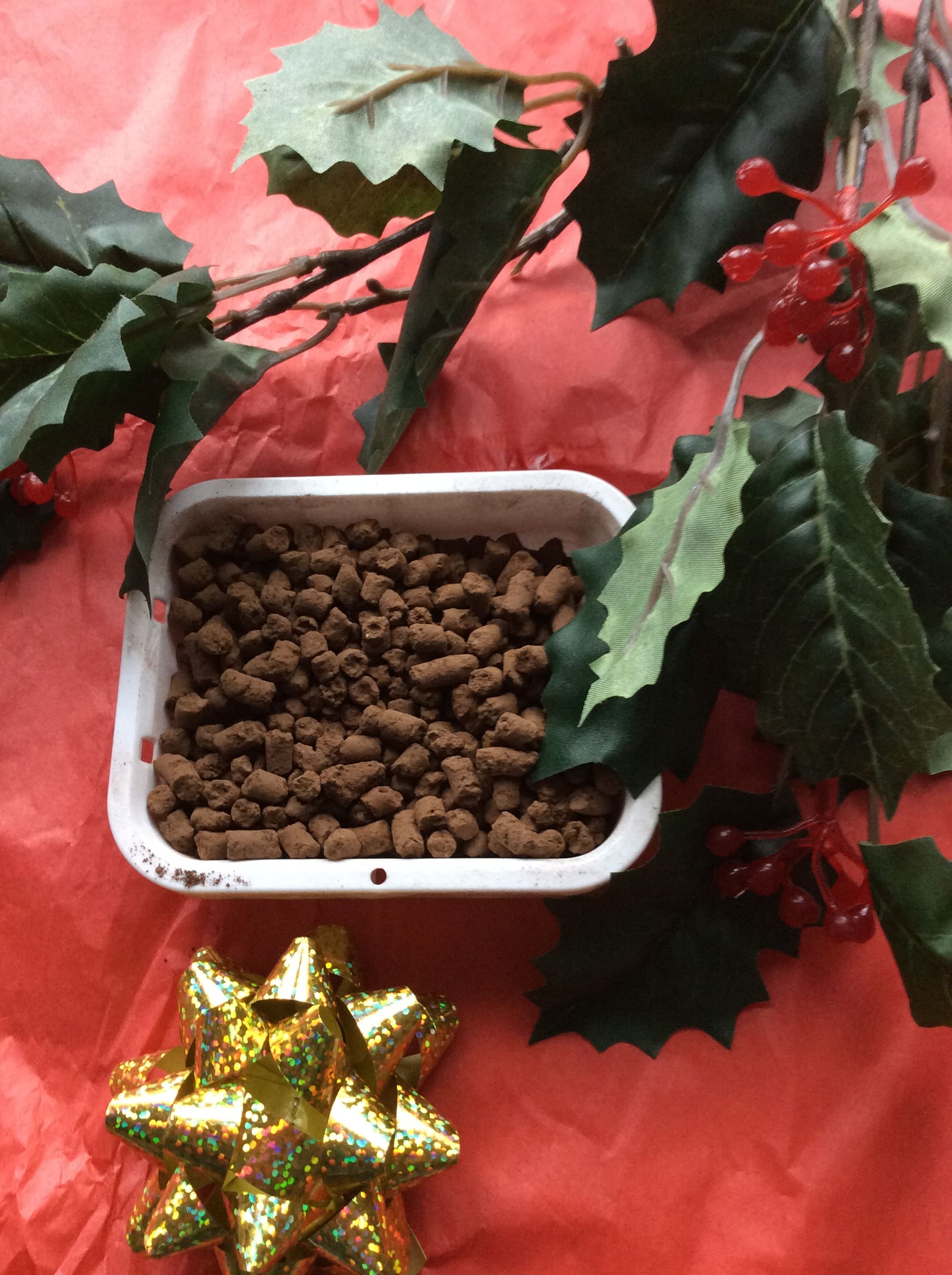 Bat Shit Ready for Gift Giving