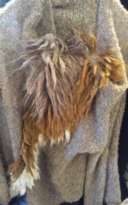 Visit l'Atelier des Ours