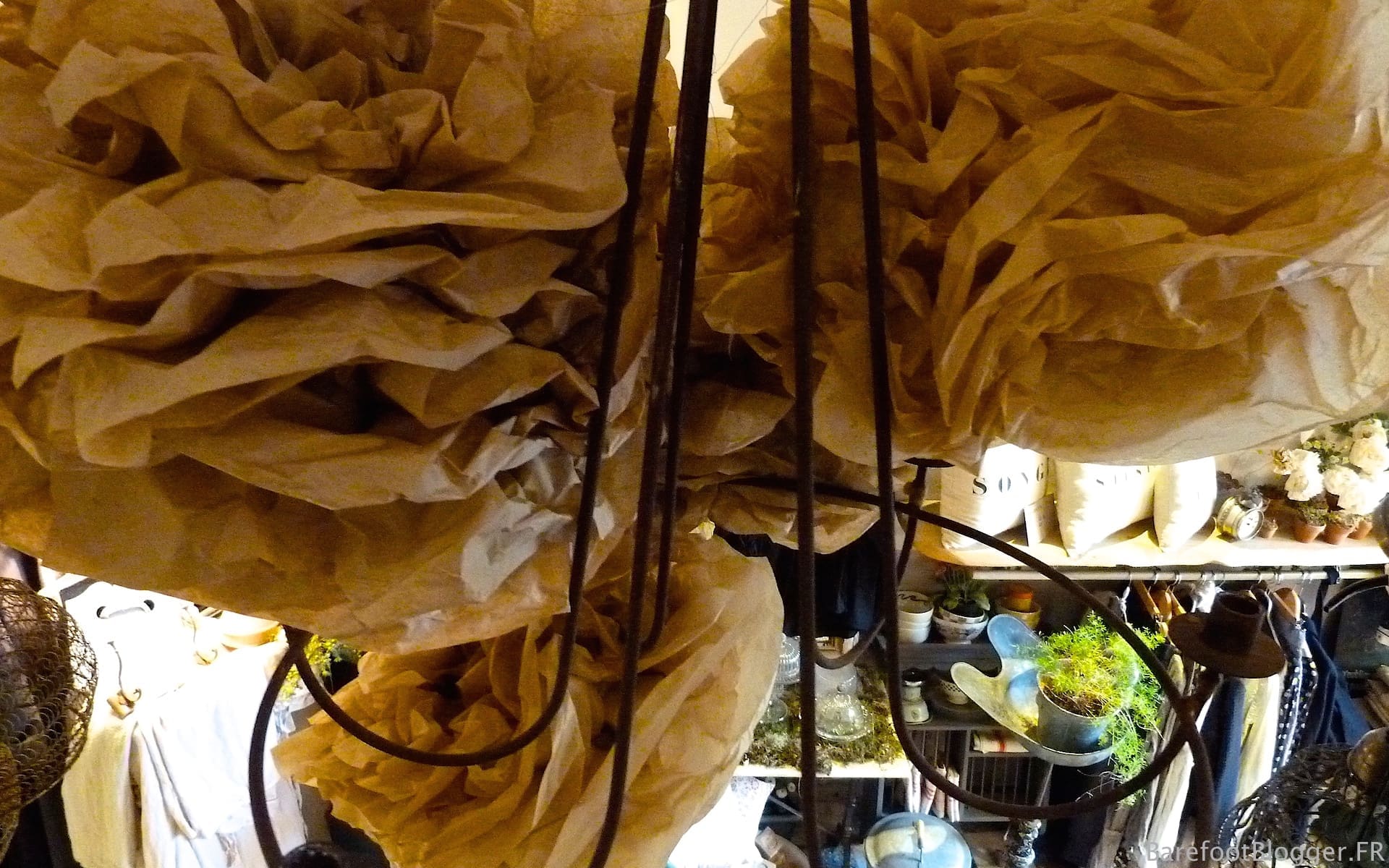 Visit l'Atelier des Ours Visit l'Atelier des Ours