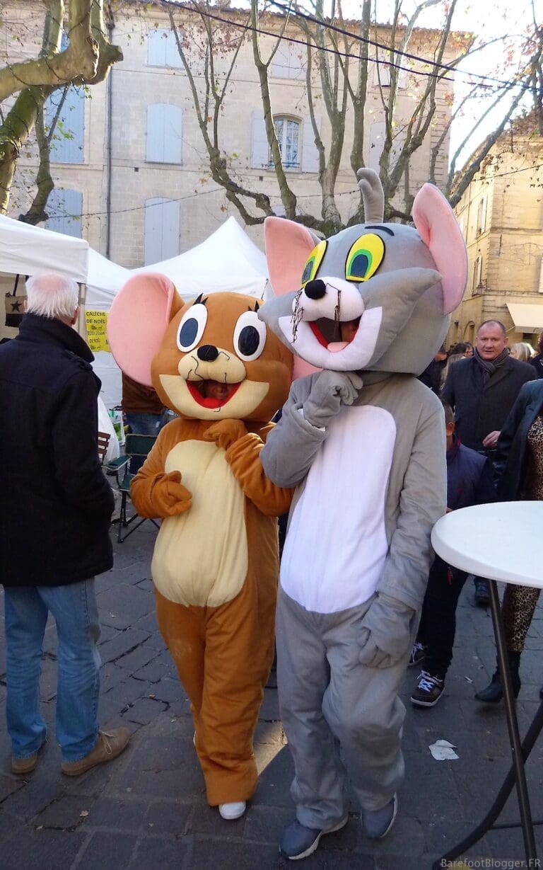 Silly mice in Uzes, France