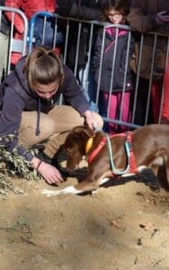 Uzes Black Truffle Festival