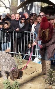 Uzes Black Truffle Festival