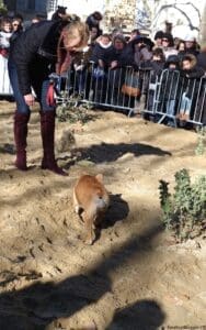 Uzes Black Truffle Festival