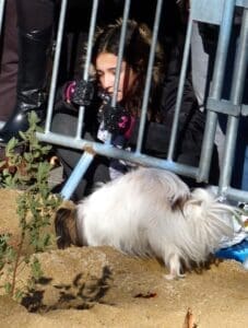 Uzes Black Truffle Festival