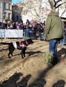 Uzes Black Truffle Festival