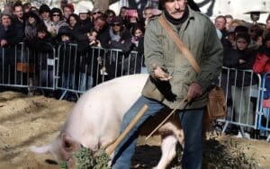 Uzes Black Truffle Festival