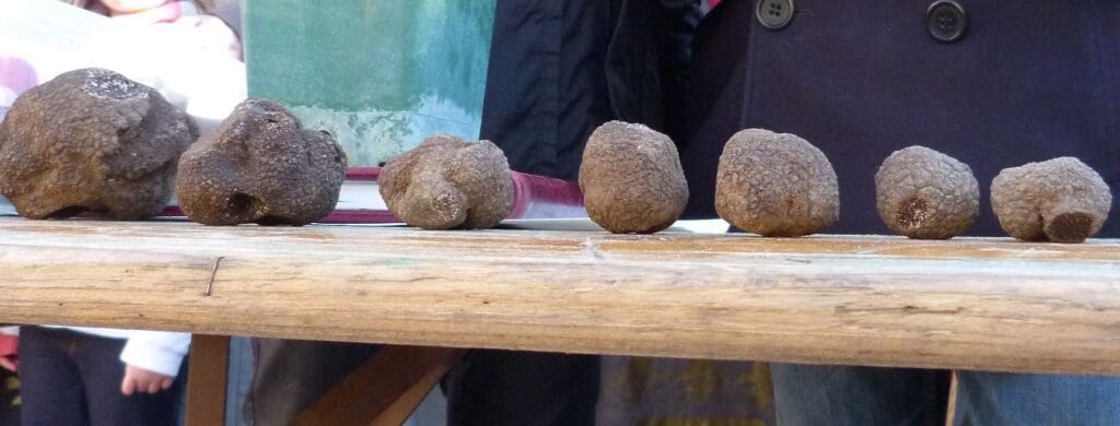 Uzes Black Truffle Festival