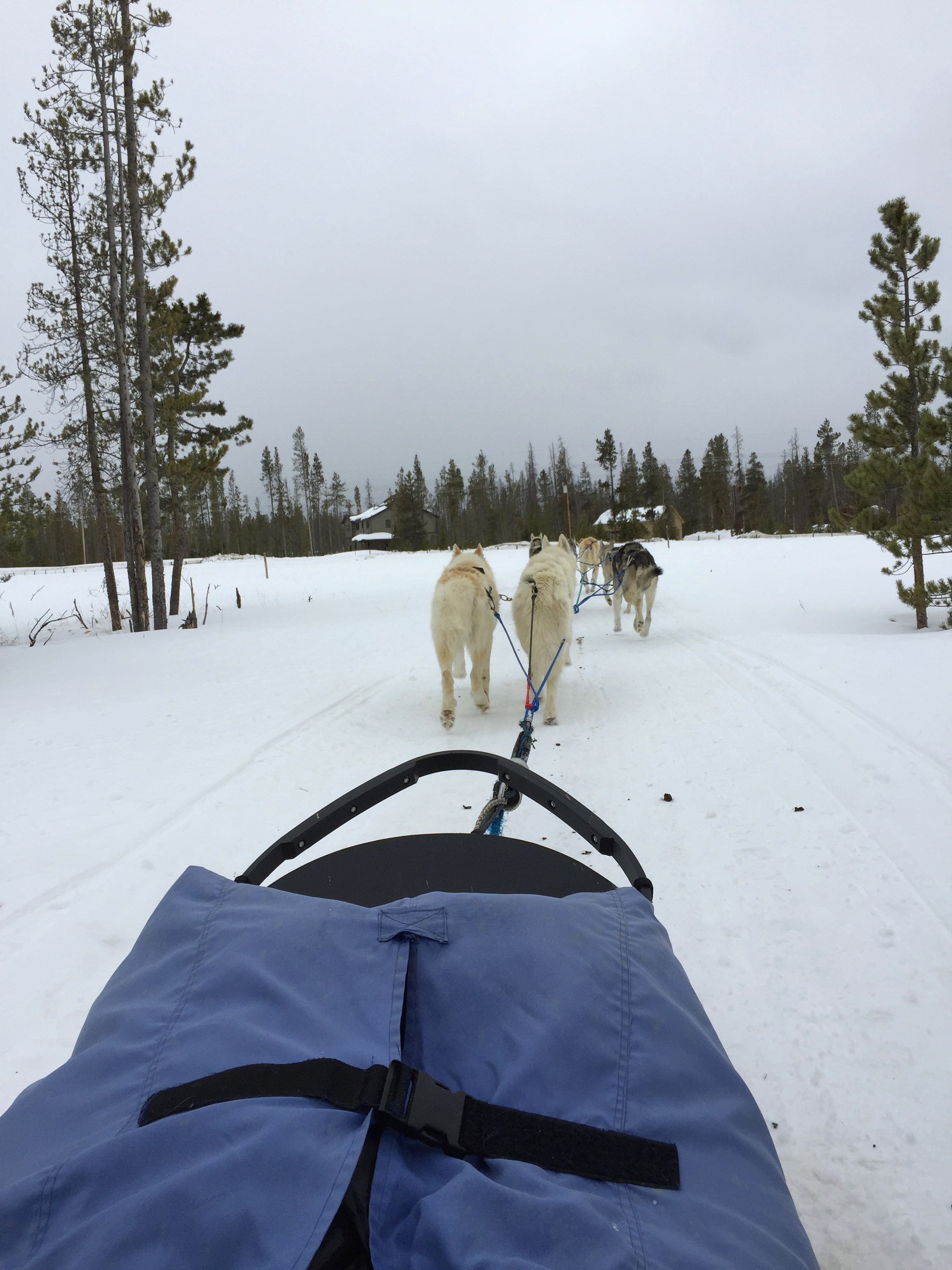 ski solo