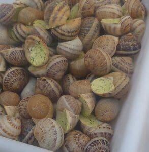 Uzes Saturday Market