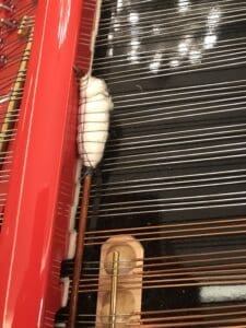 Ensemble and the Festival