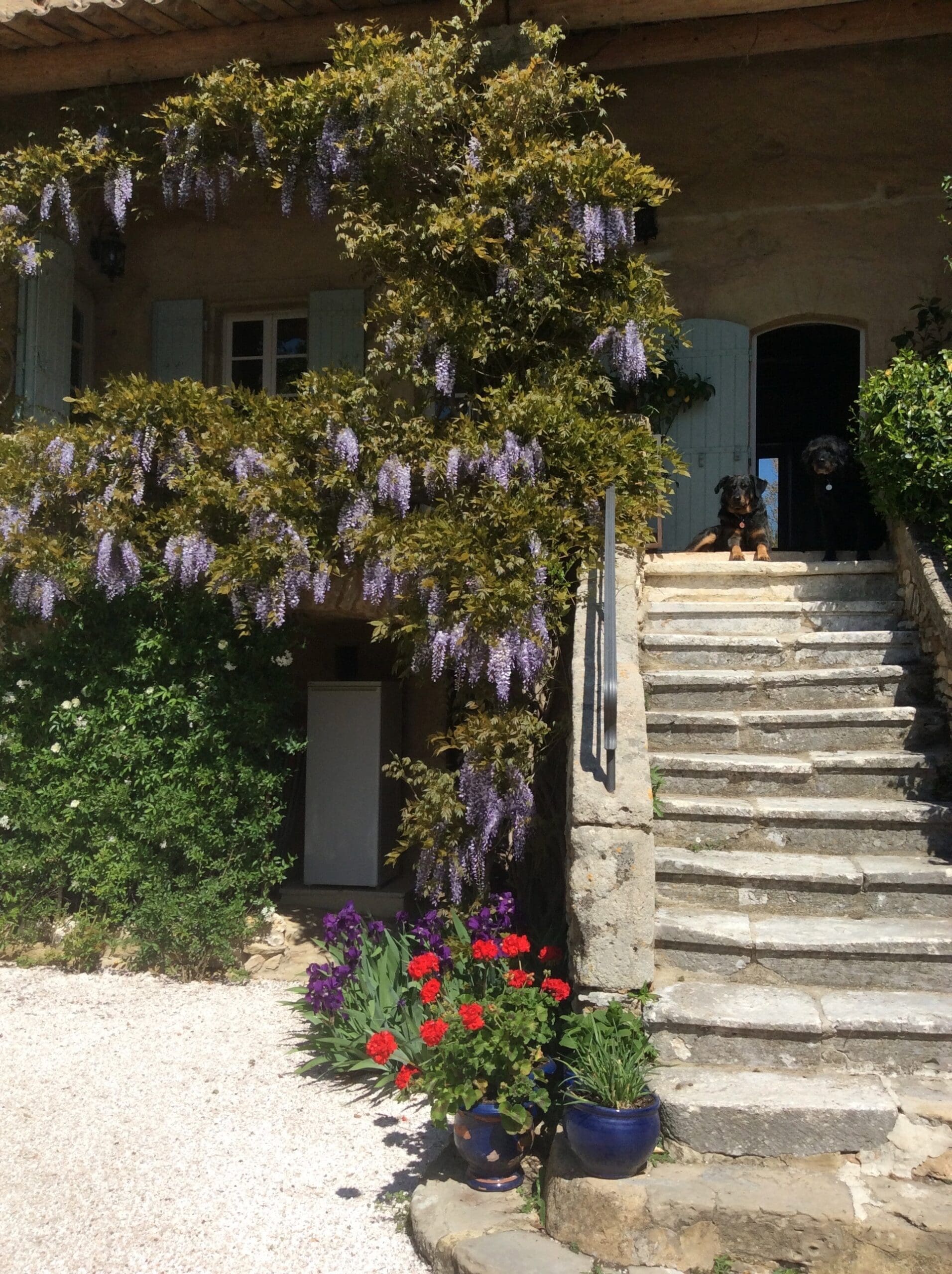 chambre d'hôte guests