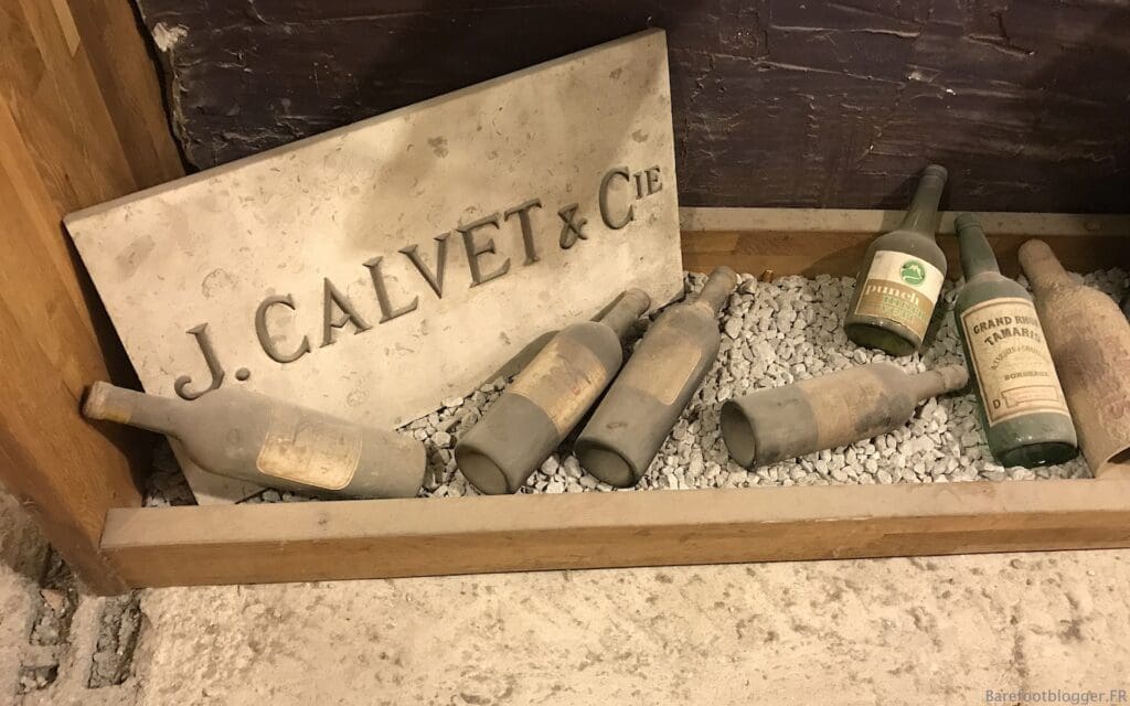 Wine tour Bordeaux