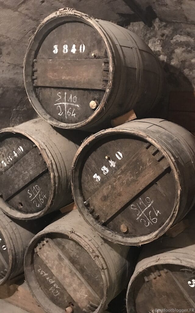 Wine tour Bordeaux