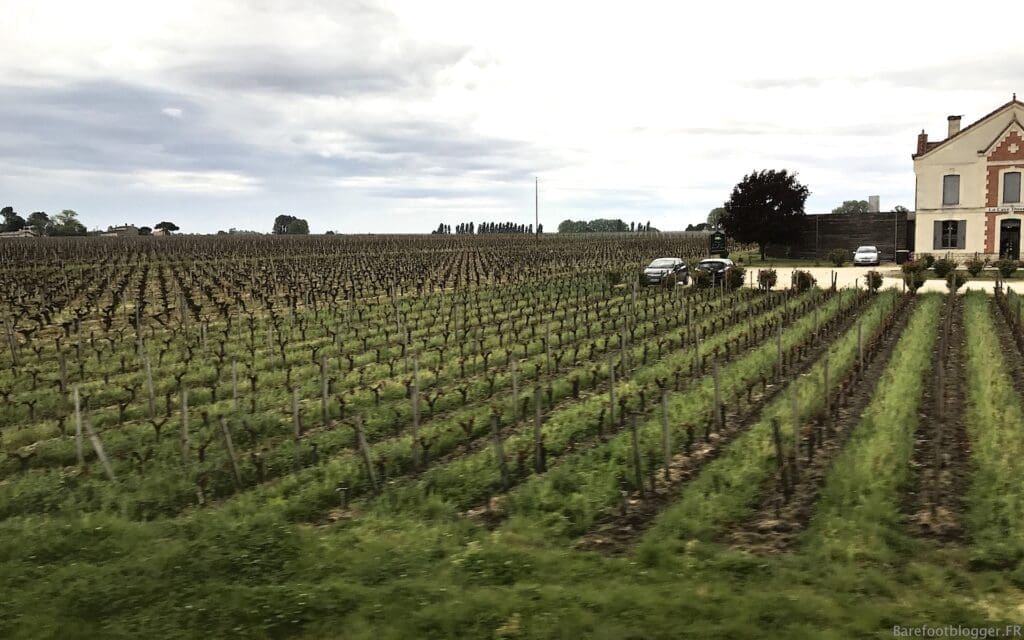Wine tour Bordeaux