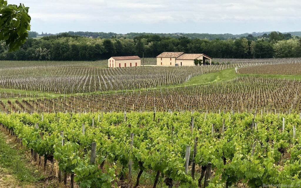 Wine tour Bordeaux