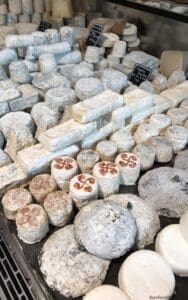 Bordeaux city tour