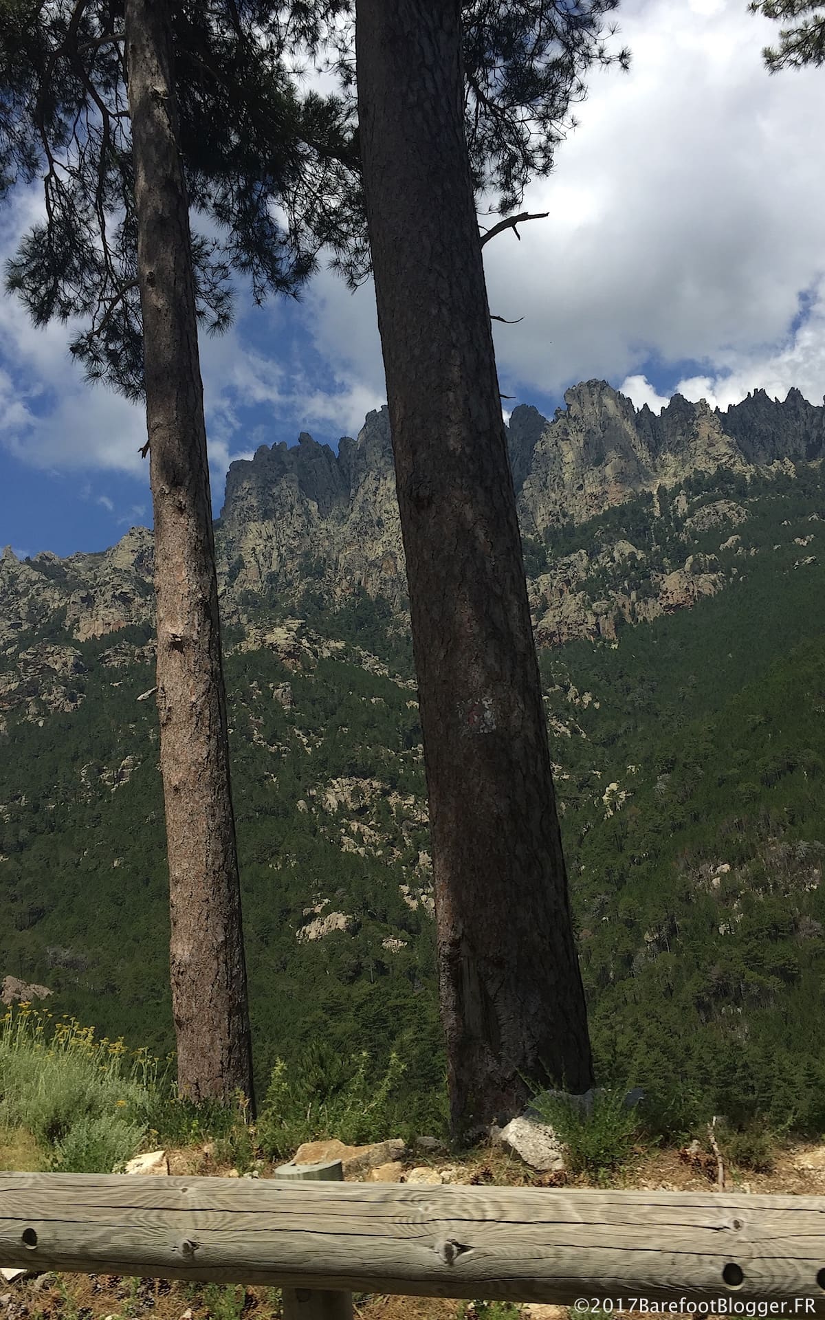 Travel Corsica