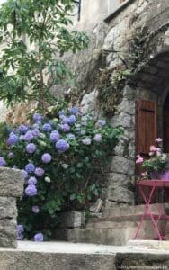 Travel Corsica