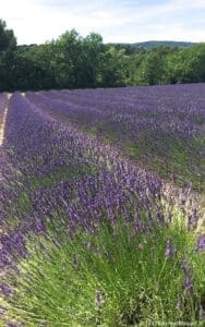 Provence Holidays