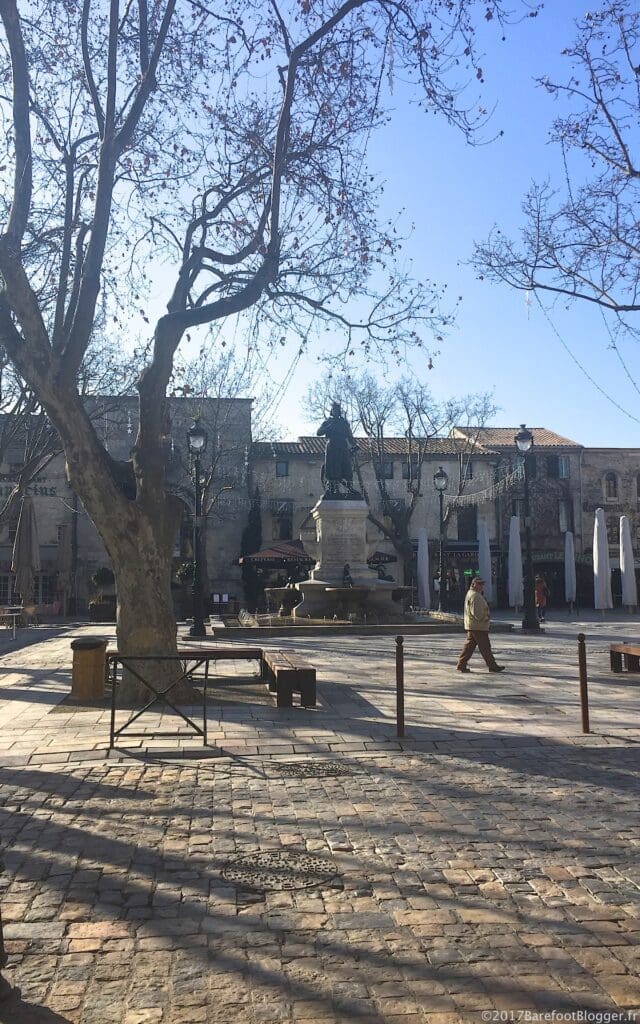 Inside Aigues-Mortes' Walls