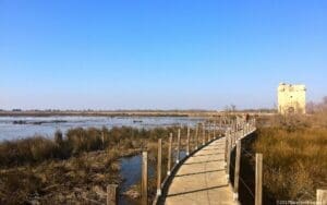 Inside Aigues-Mortes' Walls