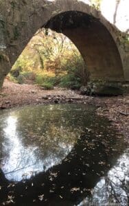 Autumn Week South of France